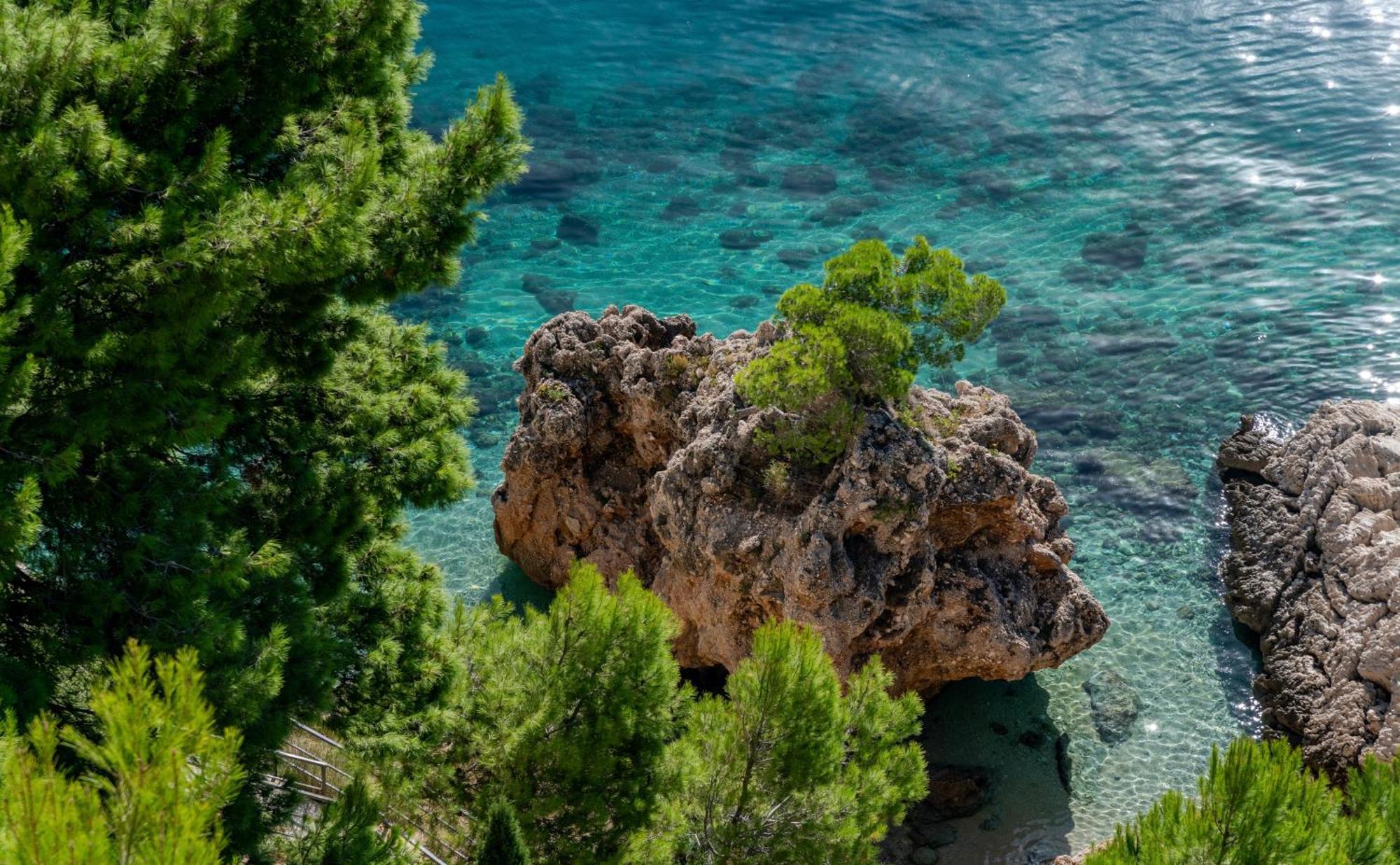 Villa Jana Marusici  المظهر الخارجي الصورة